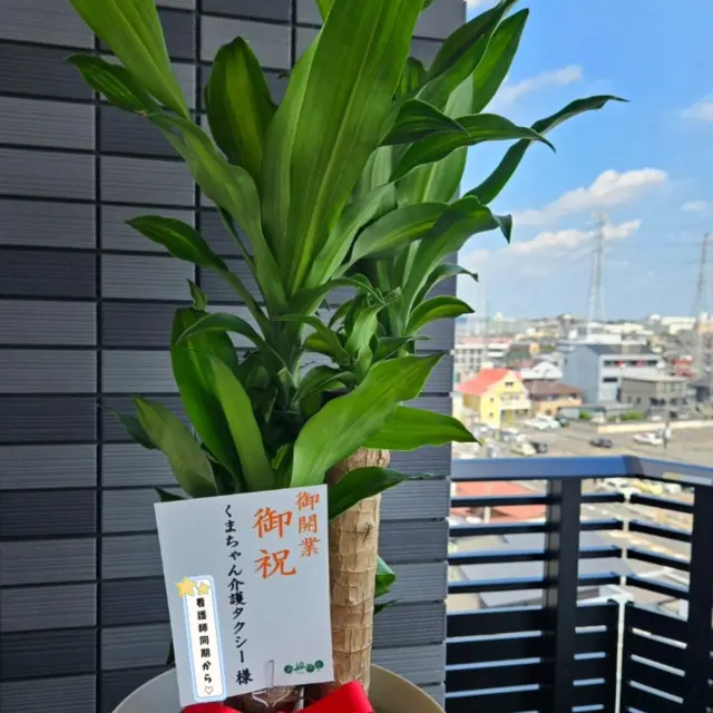 .

嬉しいことにまたまた開業祝いが届きました‼🎉

送り主は同じ病院で務めていた同期。
あの頃同期がいたから1年目のきつさを乗り越えられて今の自分がある!!と心からおもいます。

ちなみに私たち仲良し同期3人組の合言葉は…
『同期を大切にしないとお米食べれない』🥹🍚

仕事が出来て、気配り上手の2人に
私はいつも助けてもらってばかりでしたが…

これからも「仲間を大切にする心」を忘れず過ごしていきたいと思います🙇

最近近はお米の高騰で、同期を大切にしてもお米が食べられなくなりそうですが…笑
頑張って営業いきます!!

#栃木県小山市
#小山市介護タクシー
#開業祝いプレゼント
#看護師
#同期