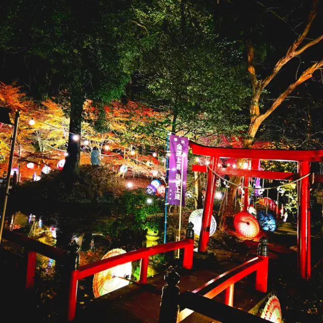 .

お仕事終わりは
小山市にある『間々田八幡宮』さんの
紅葉ライトアップ✨

とても綺麗で癒やされました!!